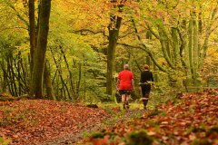 DSC_1741